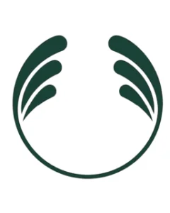 OBON SAI COSMETICS